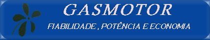  Gasmotor-